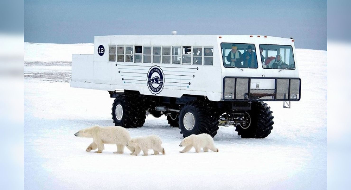 Для поездок к медведям: автобус-вездеход Tundra Buggy Для поездок к медведям: автобус-вездеход Tundra Buggy Автомобили