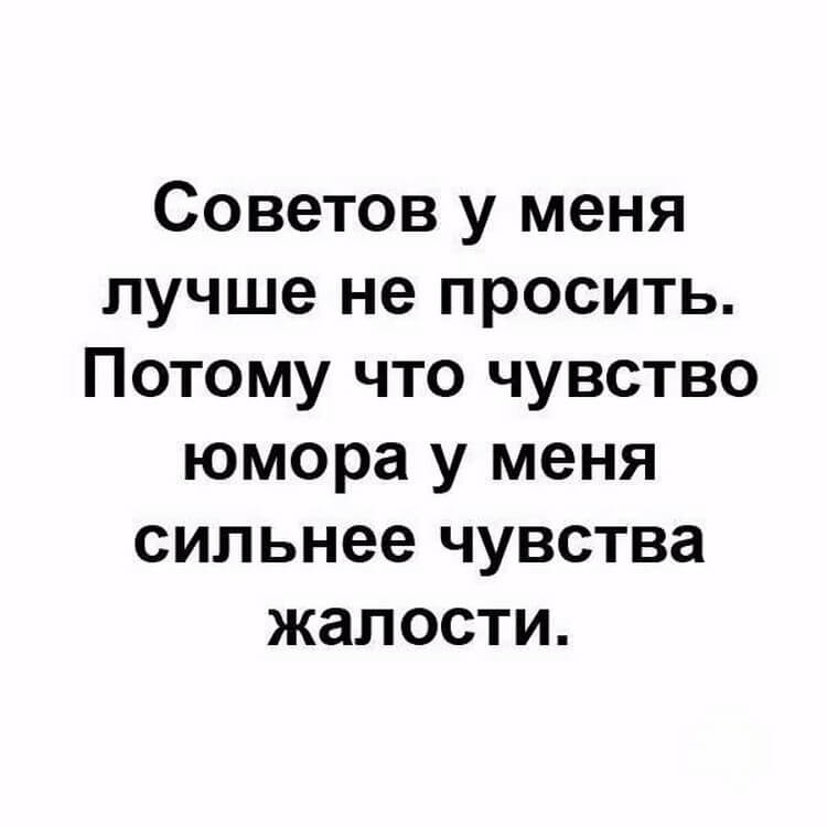 Подборка самых интересных коротких жизненных смешных историй Подборка самых интересных коротких жизненных смешных историй
