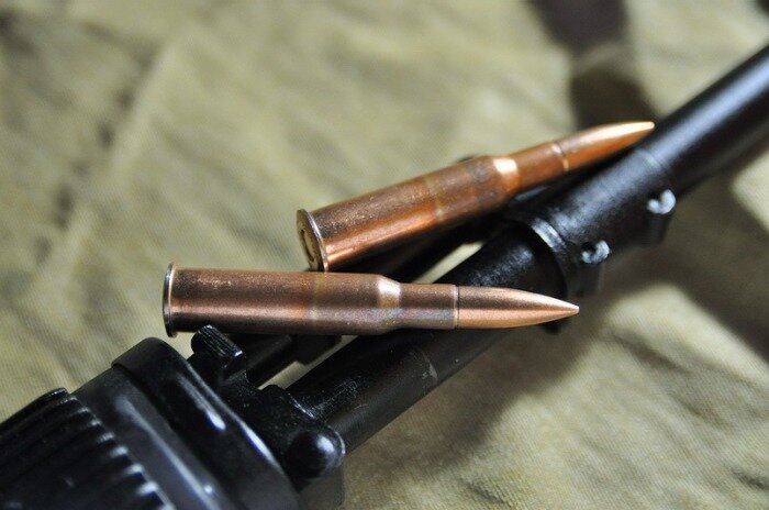 А вот боевые. ¦Фото: mybrest.by.