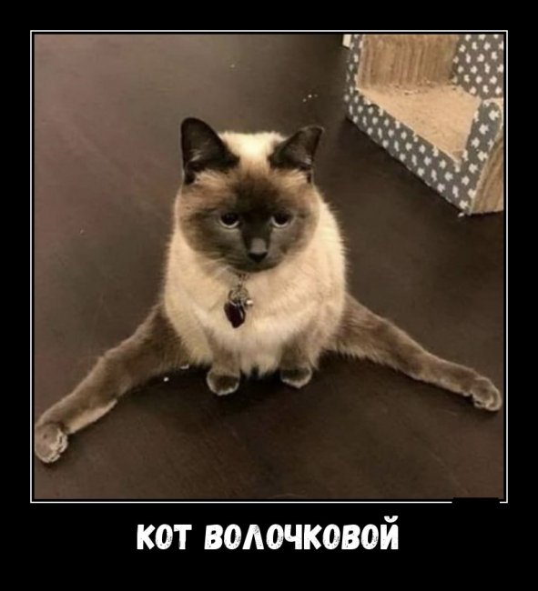 Забавные, смешные и прикольные демотиваторы из сети демотиваторы свежие,смешные демотиваторы