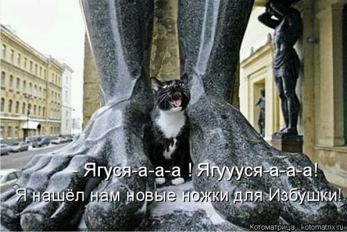 Лучшая котоматрица недели 