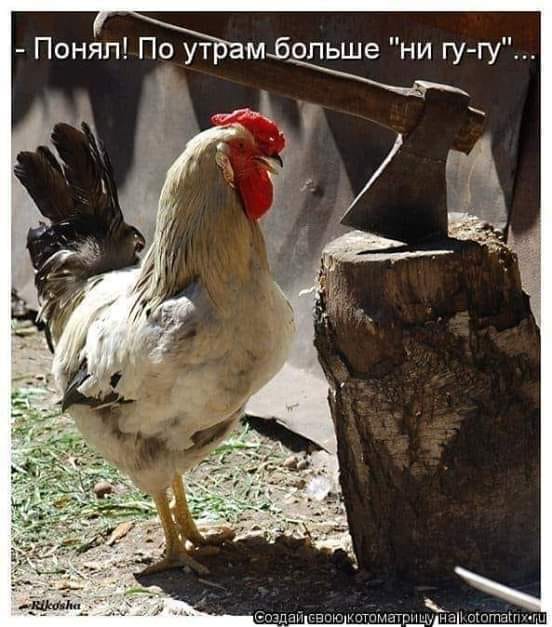 - Ты такой умный, такой умный, ну просто гениальный!... Весёлые,прикольные и забавные фотки и картинки,А так же анекдоты и приятное общение