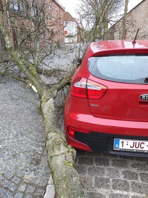 Так выглядит везение! Так выглядит везение!