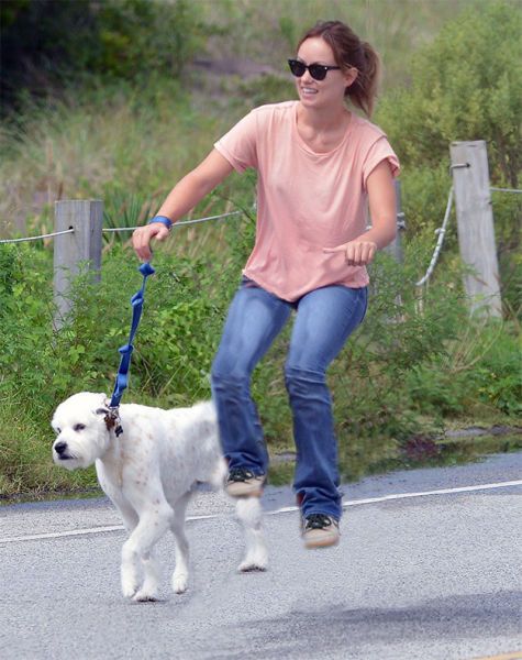 люди, знаменитости, смешное, фотошоп