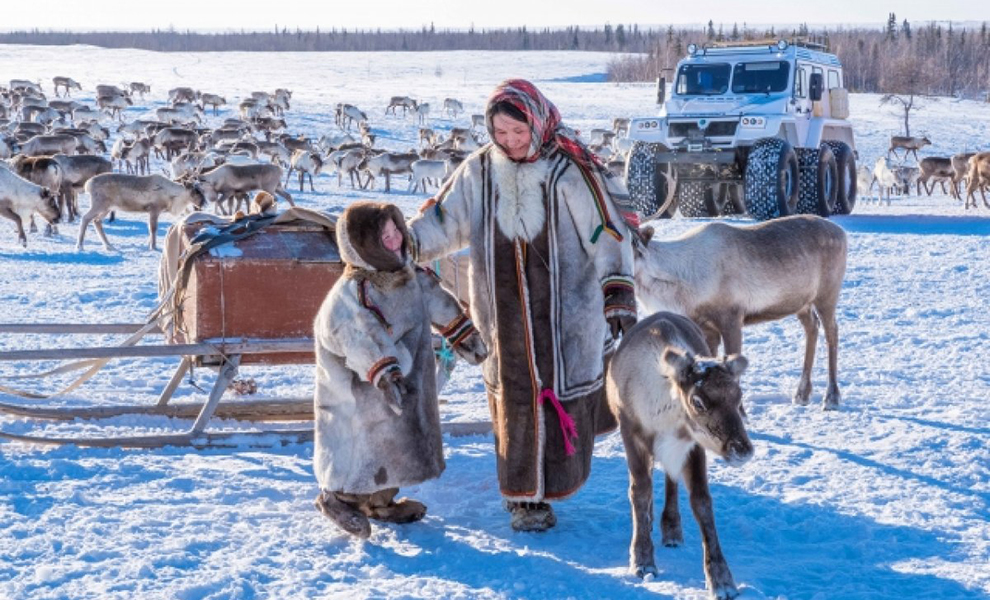 Девушка из Тундры рассказала, чему городским изнеженным мужчинам стоит поучиться у оленеводов привыкли, ненцев, слишком, мужчины, Тундры, жизни, трудностями Но, откладывания, быстро, умеют, жизнь, любят, потом», хорошего, ощущения, жители, момент, каждый, распоряжаться, сдаются