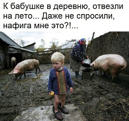 Утро понедельника в животном саду веселые картинки,животные,позитив,Смешные животные