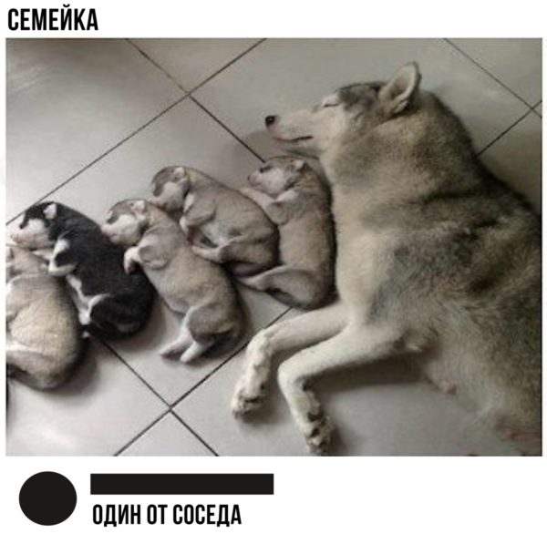 Солянка юмора из сети №3