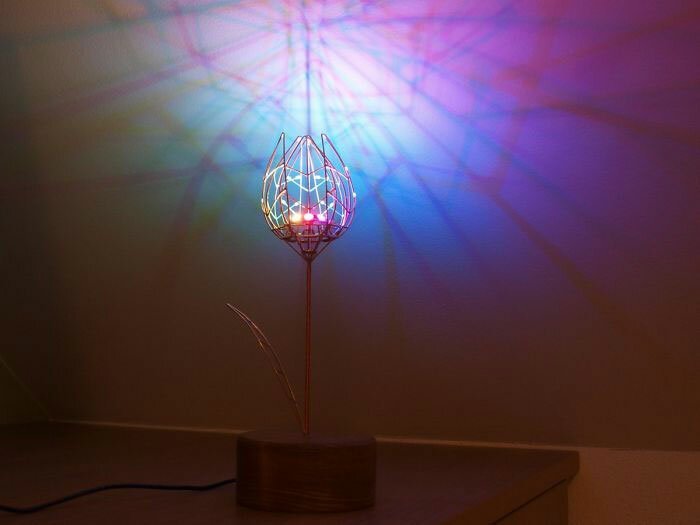 Парень подарил жене механический цветок, который расцветает при касании Парень подарил жене механический цветок, который расцветает при касании мужское хобби