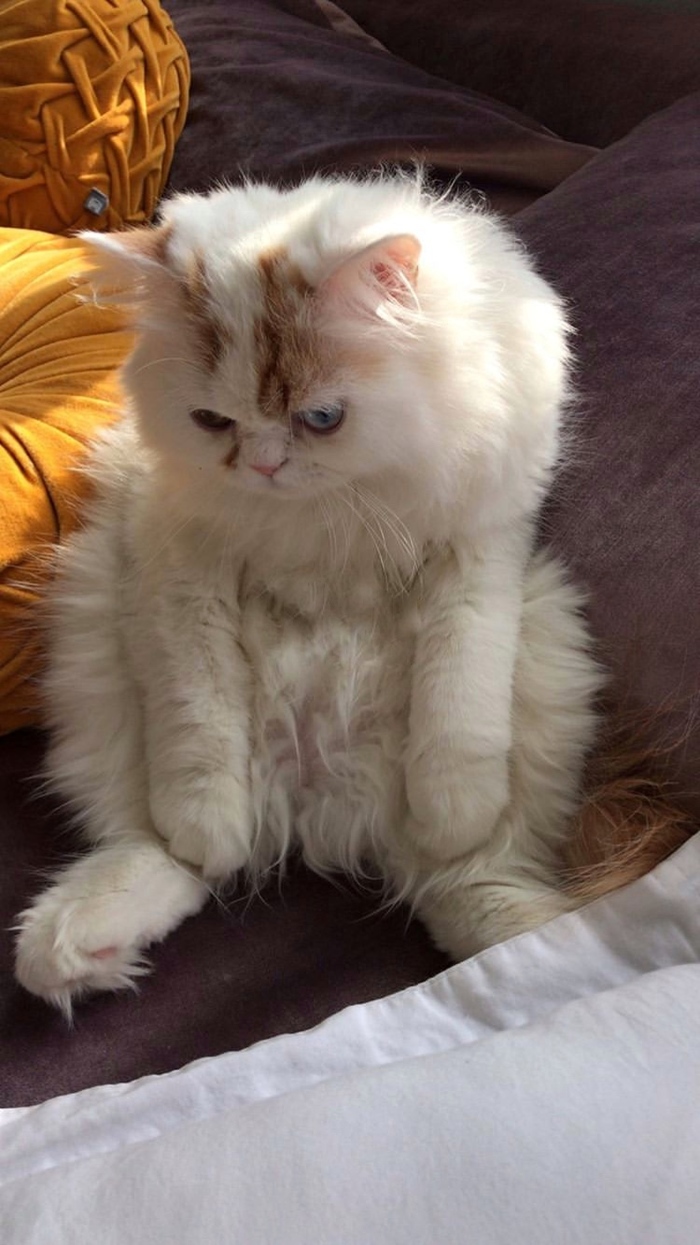 Нужен совет: панически боюсь, буквально шарахаюсь от противоположного пола