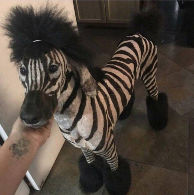 Позитивные и забавные фотографии из сети для хорошего настроения Позитивные и забавные фотографии из сети для хорошего настроения