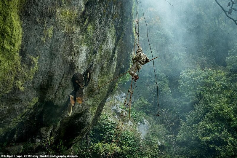 Финалисты Открытого конкурса Sony World Photography Awards 2019 фотография