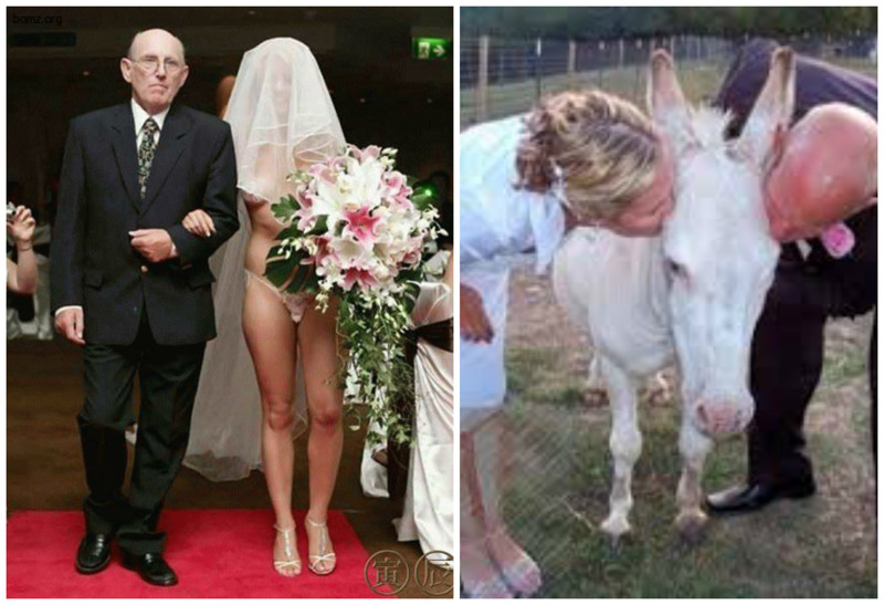 Свадьба пела и плясала, дурачилась и кривлялась поразительно, свадьба, смешно, юмор