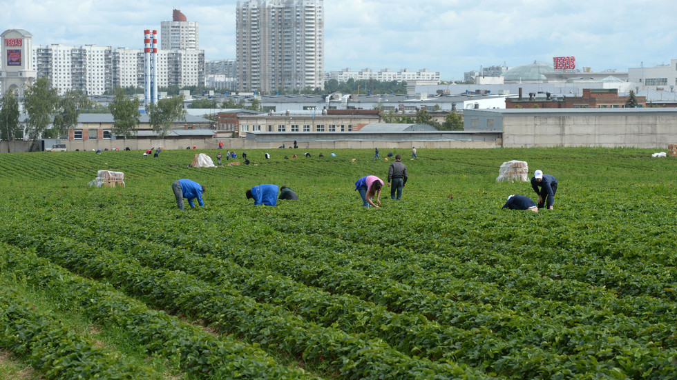 Фото: © РИА Новости/Михаил Воскресенский