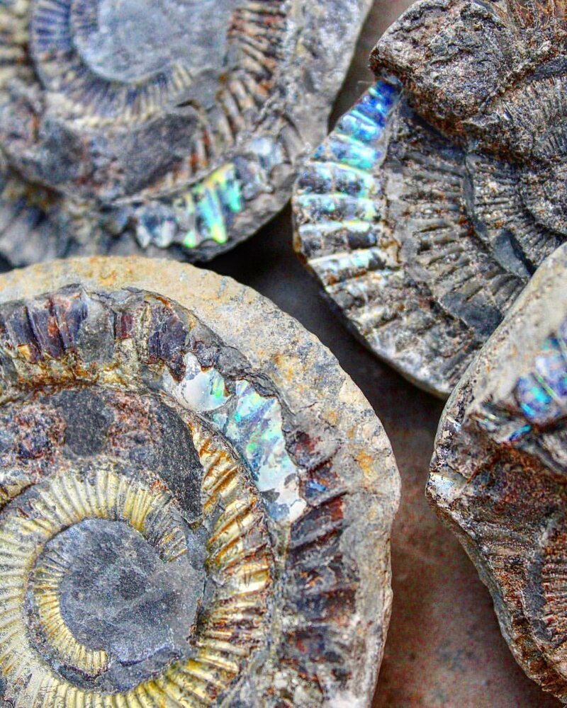 Невероятные находки на берегу моря 