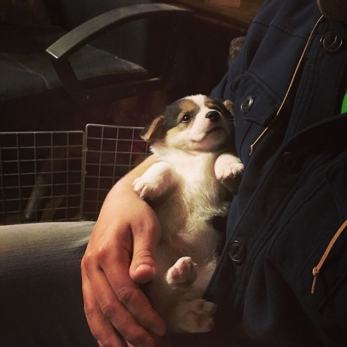 Are You My New Dad?