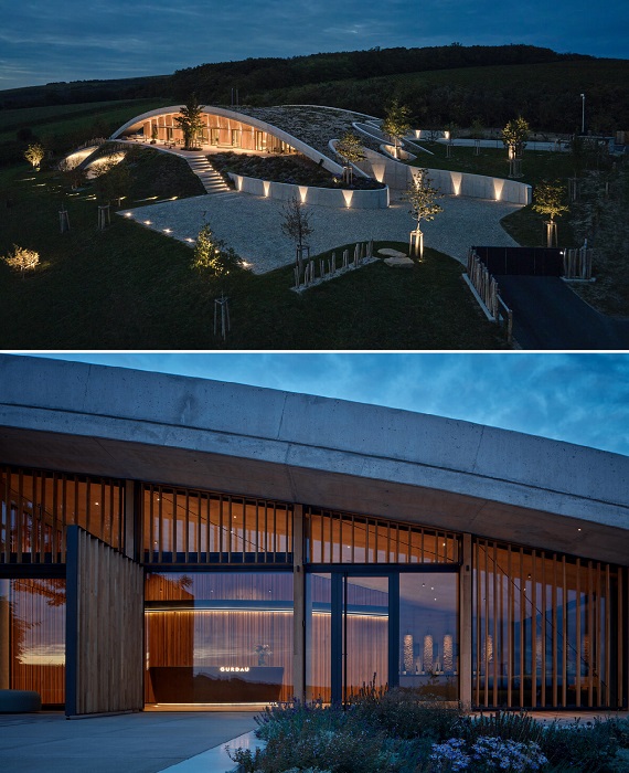 Масштабные окна притеняются реечными панелями из натурального дерева (Gurdau Winery).