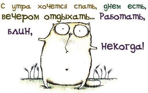 Уморительные истории о работе, которые скрасят ваши трудовые будни 