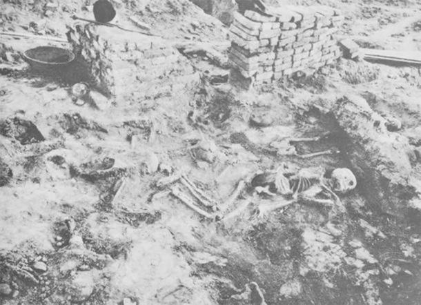 Мохенджо-Даро: Тайна сорока четырех, изображение №4