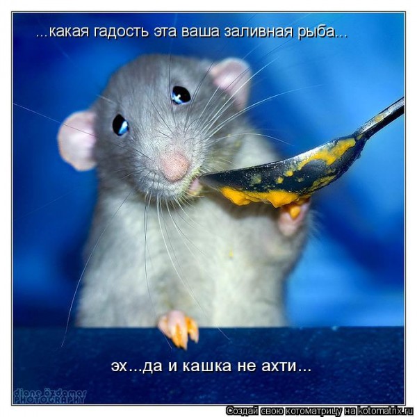 Мысли вслух :)