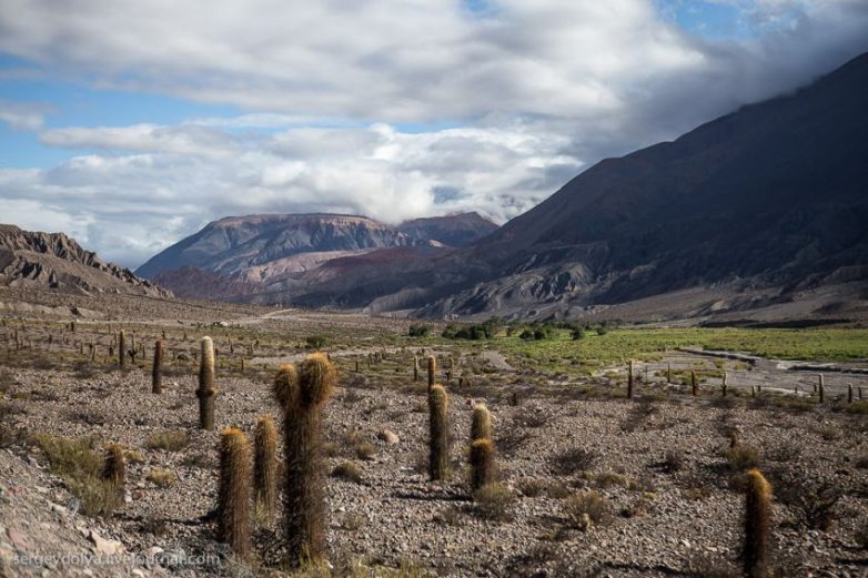 Пожалуй, лучшая автобусная остановка в мире Пожалуй, лучшая автобусная остановка в мире