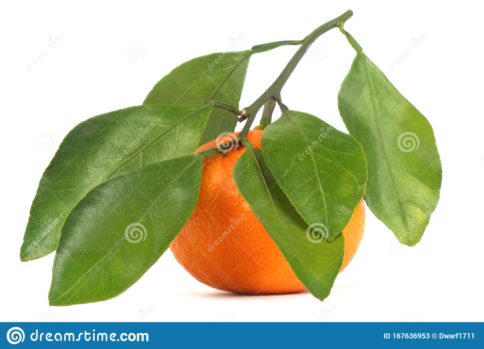 Ripe juicy orange tangerine with leaves Isolated on a white background