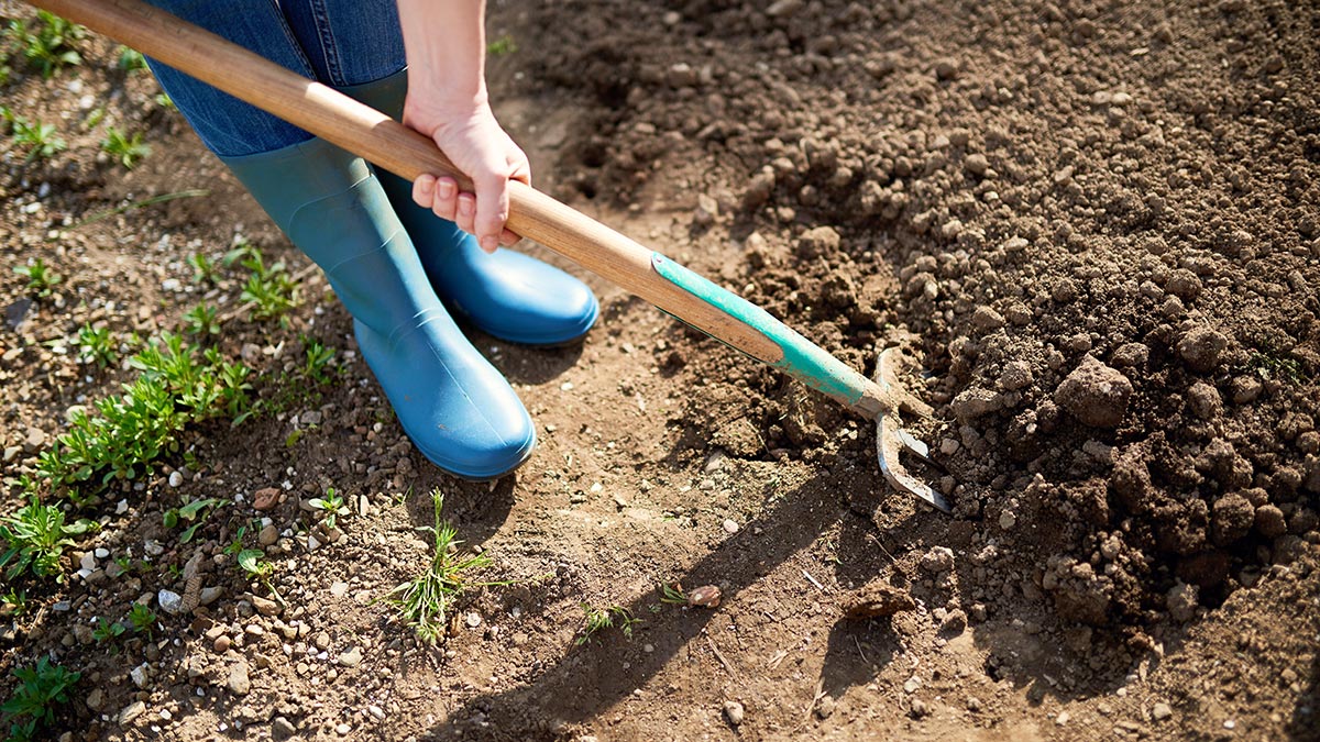 Как улучшить плодородие почвы в зависимости от ее типа: советы агронома