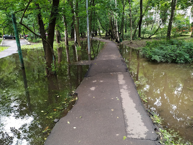 после дождя