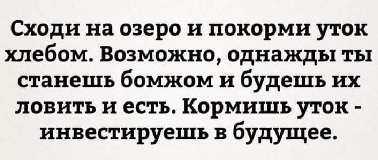 Подборка метких высказываний, которые подарят вам позитивный настрой 