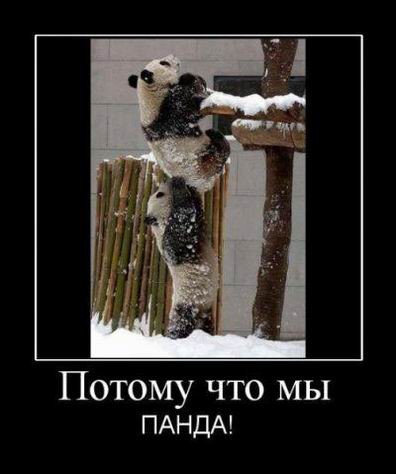 Демотиваторы для всех: «Моя вселенная…»  