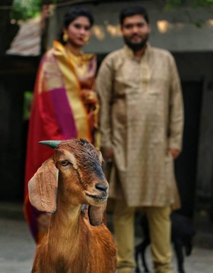 22 снимка, которые должны были быть офигенными, но что-то пошло не так 22 снимка, которые должны были быть офигенными, но что-то пошло не так