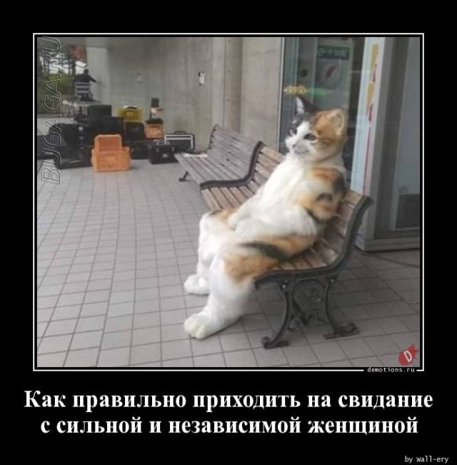 Демотиваторы для всех: «Проснулся, но не весь…» Демотиваторы для всех: «Проснулся, но не весь…»