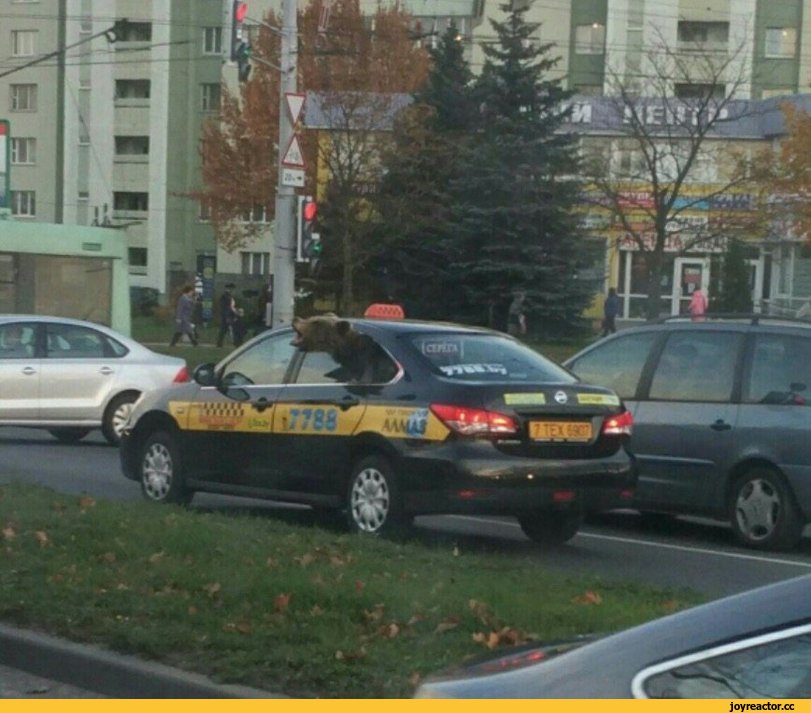 Минск,такси