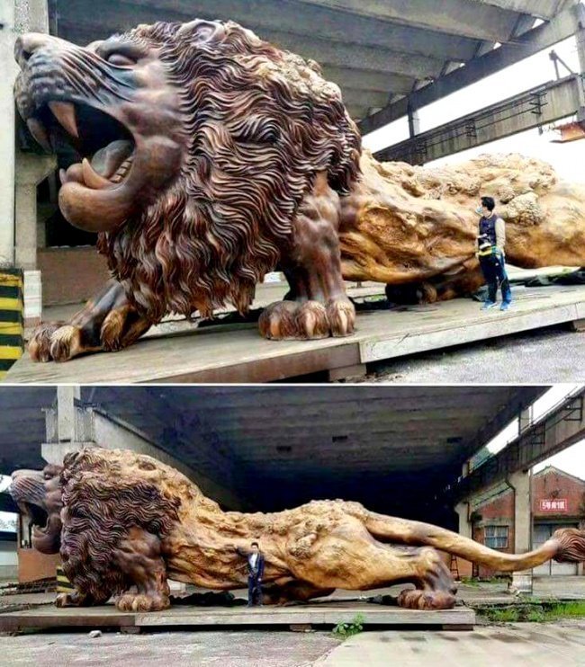 Гигантская скульптура льва вырезана из цельного красного дерева. Над его созданием трудились 20 человек в течение 3 лет необычное, прикол, фото
