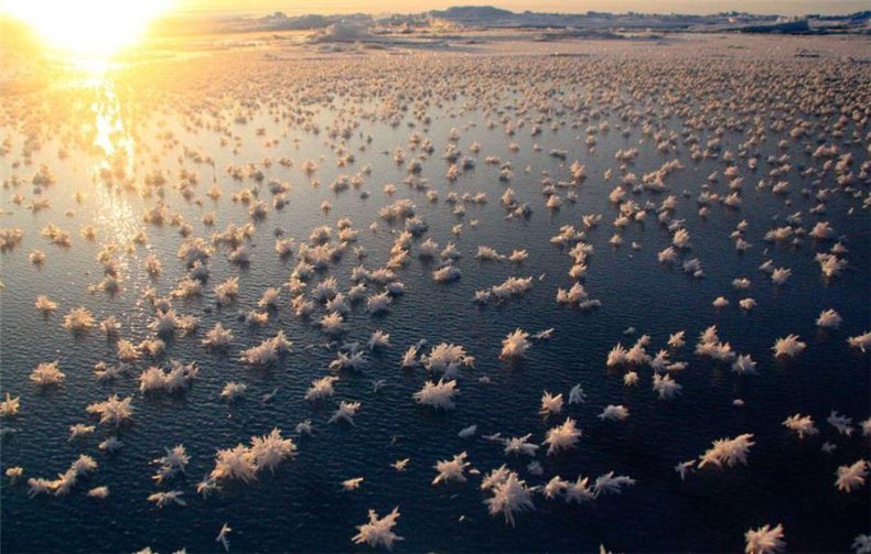 Похожее изображение