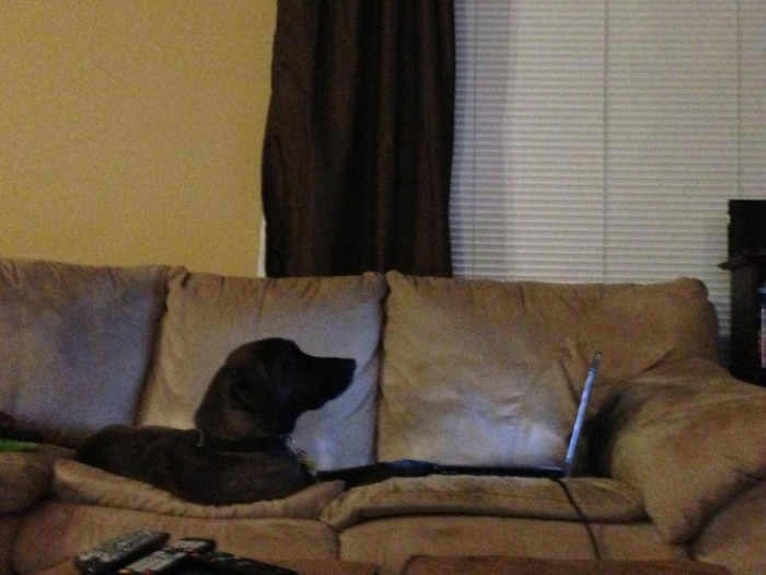 Фотоподборка 