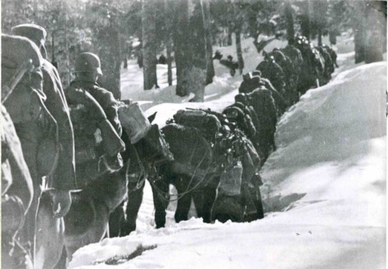 Операция «Ход конём». Дрвар, май 1944 года история