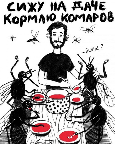 Забавных зверьков вам в ленту! Забавных зверьков вам в ленту!