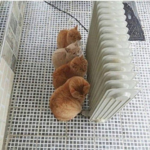 Прикольные картинки скрасят понедельник (40 шт)