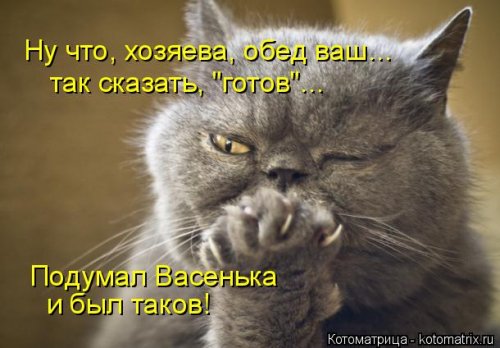 Лучшая котоматрица недели Лучшая котоматрица недели смешные картинки