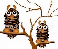 Почем нынче в лесу шишка?