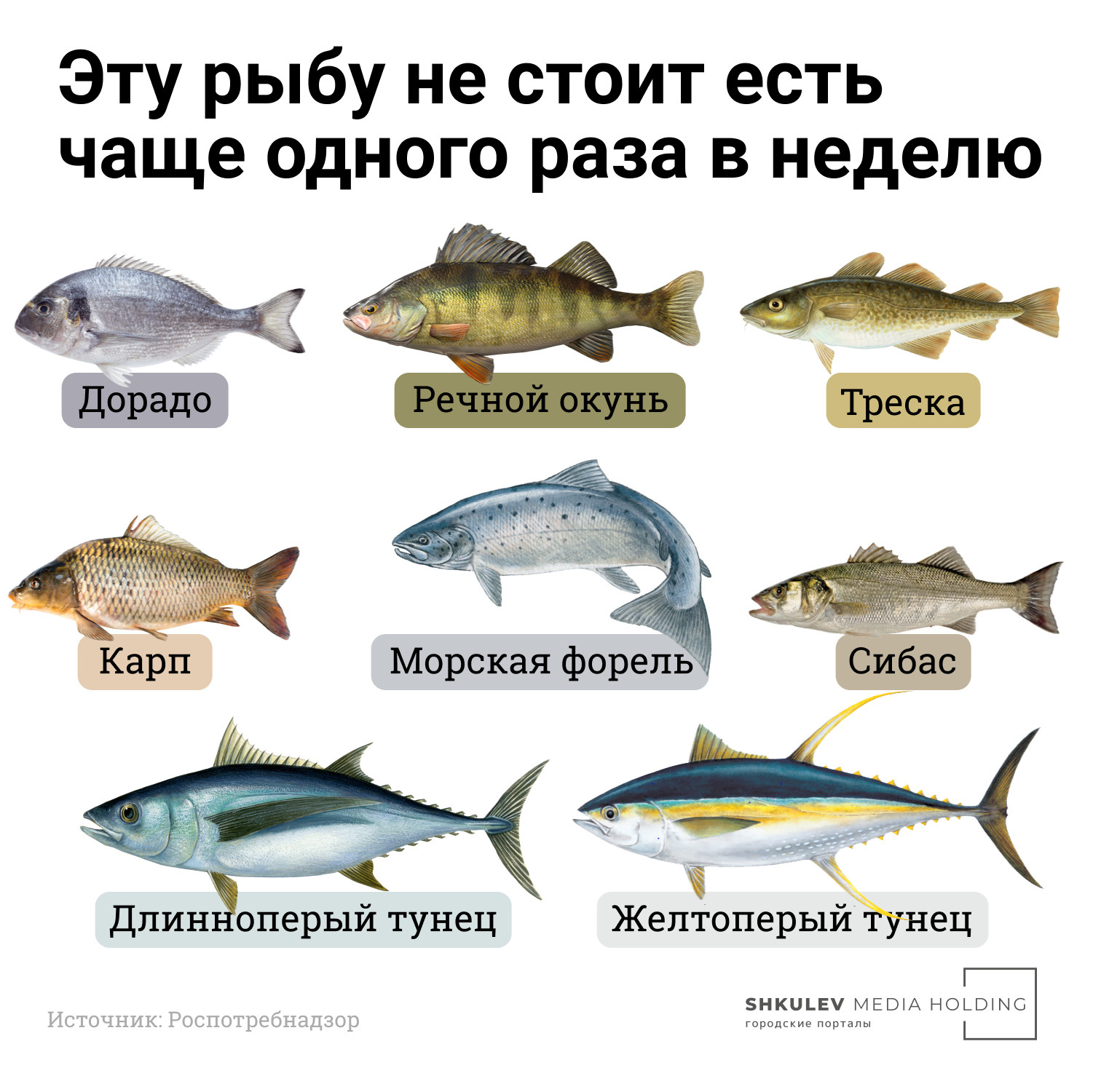 рыбы на кубе названия