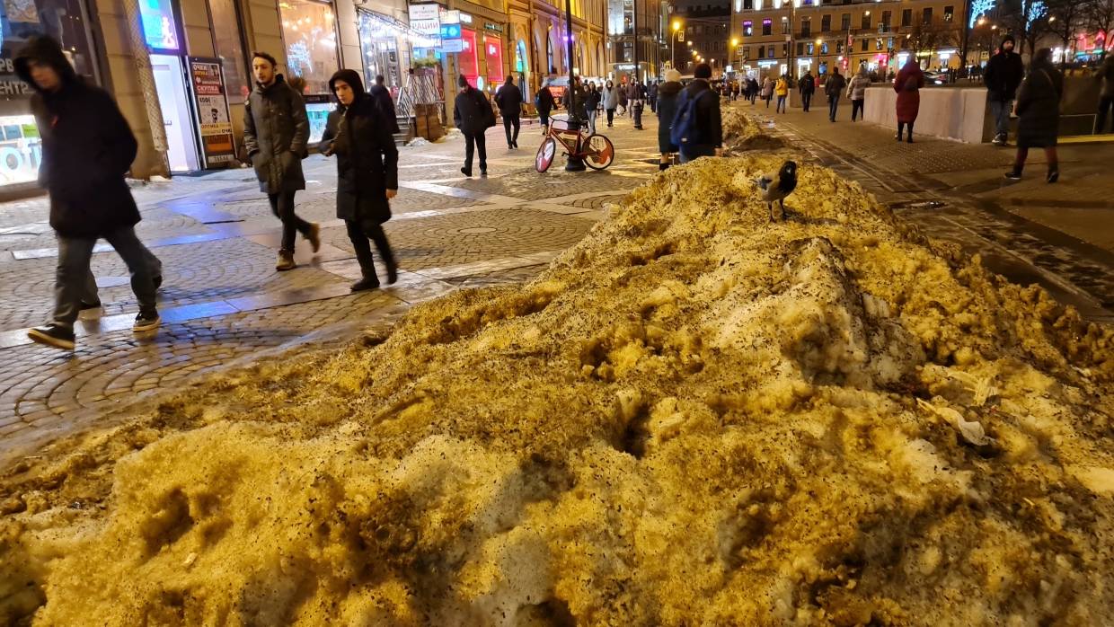 «Зимний сезон провален»: какие причины скрываются за снежным коллапсом в Петербурге Общество