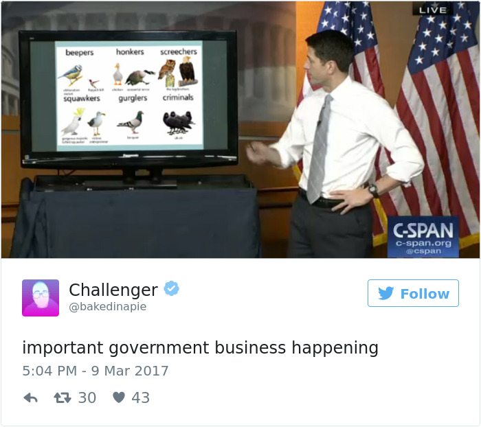 Paul Ryan's Healthcare Presentation