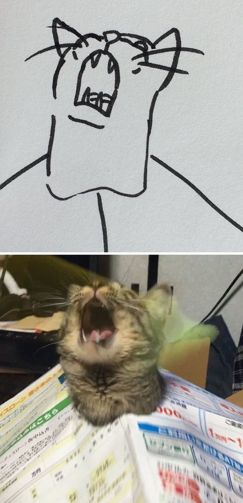 Poorly Drawn Cat