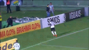 Прикольные гифки для позитива Прикольные гифки для позитива