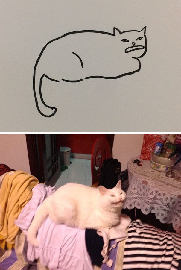 Poorly Drawn Cat