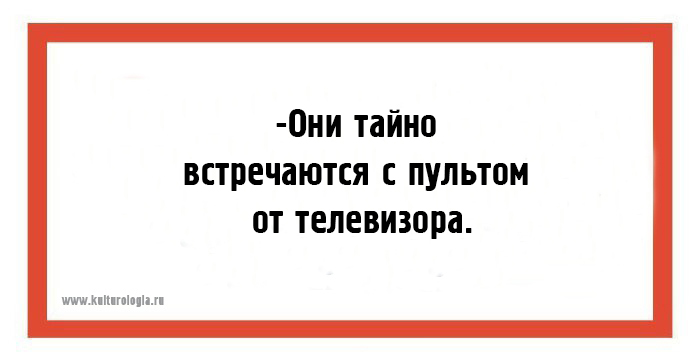 24 открытки юмористических открытки обо всём на свете для поднятия настроения