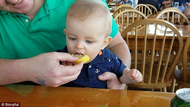 The adorable baby kept coming back for more as his parents smiled and laughed in the background