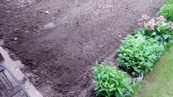 Лайфхак огороднику: Сажаем огурцы под пленку и забываем про полив на весь сезон дача,овощи,полезные советы,сад и огород