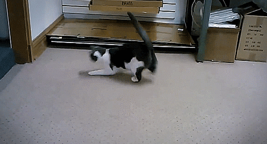 Веселые гифки субботы Веселые гифки субботы прикольные гифки ржака, свежие гифки позитив, смешные гифки